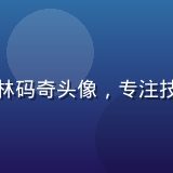 小狗看番技术负责人林码奇头像，专注技术研发的工程师形象